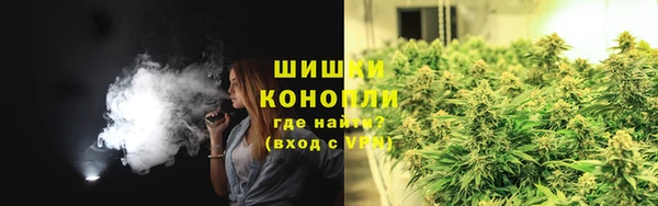 дмт Лабытнанги