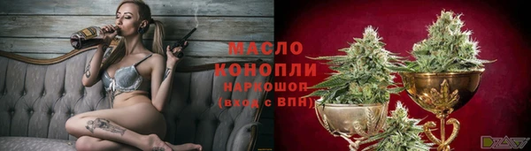 дмт Лабытнанги