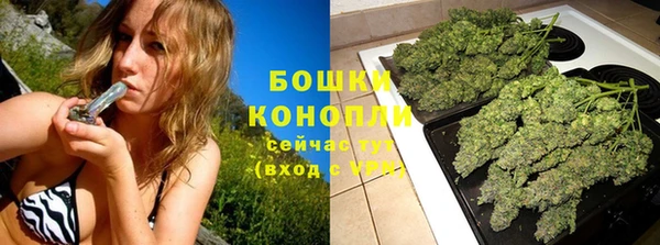 дмт Лабытнанги