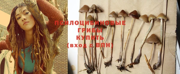 круглые Ладушкин