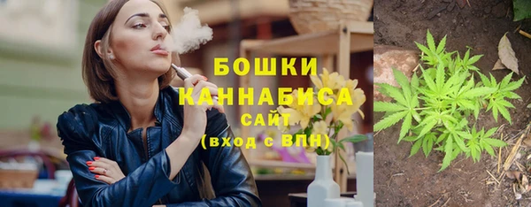молекула духа Лагань