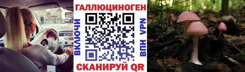 купить   Луза  Псилоцибиновые грибы мухоморы 